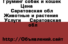 Груминг собак и кошек › Цена ­ 500 - Саратовская обл. Животные и растения » Услуги   . Саратовская обл.